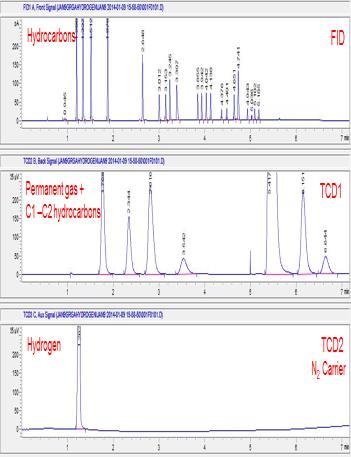 disulfide (H 2 S) and oxygen (O 2 ) Stable response for oxygen (O 2 ) Three Channel Analytical