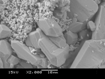 Description of sulfation SEM images of sulfated NAM In the Japanese car