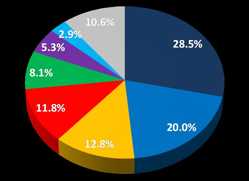 Current VIO Percent Share Vehicles In Operation: Share by Manufacturer Hyundai