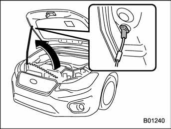 Lift the hood slightly and remove the hood prop from the slot in the hood and return the prop to its retainer. 2. Lower the hood to a height of approximately 5.