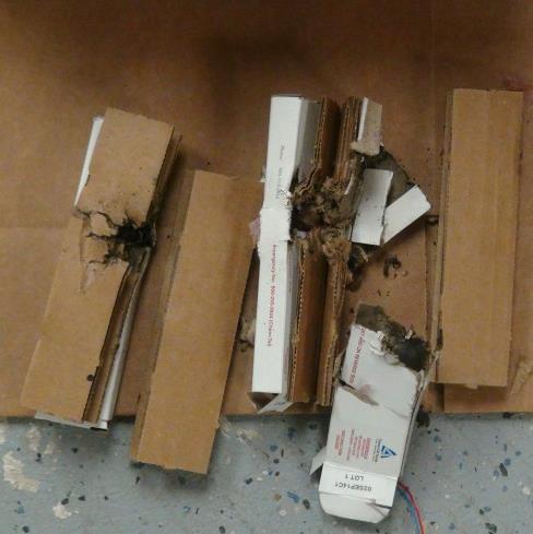 The inner package containing the donor was severely damaged, with limited damage to the surrounding fiberboard dividers.