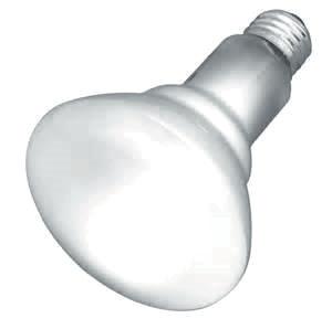 55 Y29478 F96TI2-CWX 75-Watt 8 Fluorescent Bulb 3.33 3.15 S2808 65W BR30 Indoor Flood 1.05.88 S3496 300W T3Q/CL Halogen Clear Bulb 1.16.