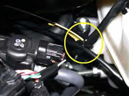 F rom front of vehicle, run the DRL s wire harness on the driver side from the battery towards the firewall of the car.