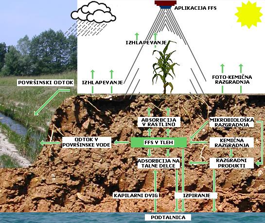 Varovanje tal in talnih organizmov V optimalnih pogojih se več kot 99 % FFS v kmetijskih tleh razgradi v nenevarne spojine, če je v tleh dovolj mikroorganizmov.