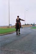 section fourteen other road users 14.34 Mark one answer You see a horse rider as you approach a roundabout. They are signalling right but keeping well to the left.