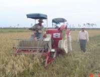 Small combine harvesters Cost $25-30000 1-2 ton/ hr Traction problems in wet Prefer Hydrostatic drives 4 wheels for