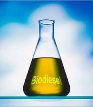 Biodiesel First generation biodiesel (FAME) is
