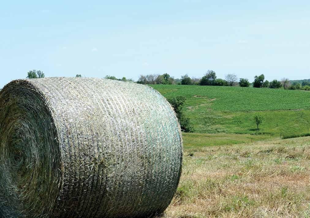 PLEASE SEND MAKIN' HAY MY WAY! POST-SEASON MAINTENANCE We know that you count on your equipment to perform day in and day out.