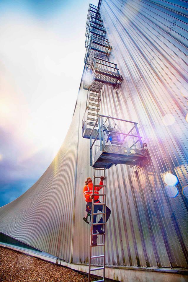 Professional ladders need to be able to withstand greater loads and Professional steps are expected be more durable than their Non-Professional counterparts.