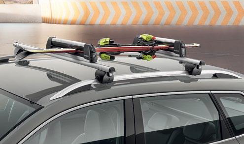 21 Lockable Ski and/or Snowboard Carrier