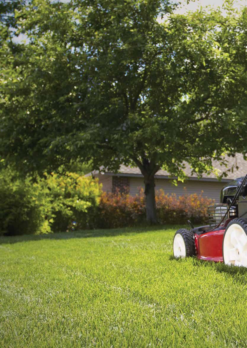 Join the ranks of satisfied customers around the globe make Toro the preferred name at your home.