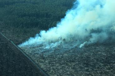 Is my cooking oil causing the haze? So what? Well Uncontrolled expansion of oil palm plantations has contributed to many environmental and social problems, including the haze.