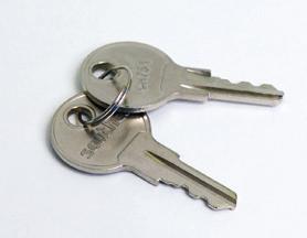 19 E3 - H - F 10 male Overmolded key CH751: Single: PK-10-10-05 Pair: PK-10-01-05 Overmolded Keys Key CH751 Key R001 Flat Keys Key CH751 11 electronics 12 216