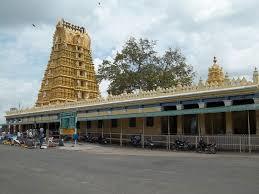 Local sightseeing in Mysore Stay: We can arrange budget hotels with