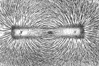 inside them; magnetic lines of forces of a bar magnet shown by iron filling on paper; https://simple.wikipedia.