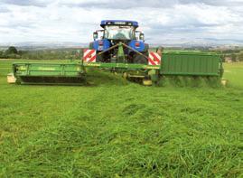 Cross conveyors boost efficiency. This specification is particularly beneficial in operations that do without swathing, turning and tedding.