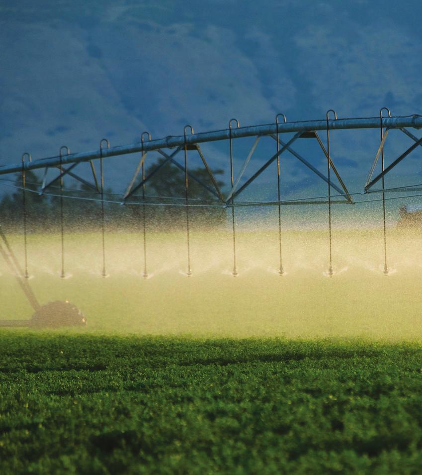 Nelson Irrigation Corporation New O3000 Orbitor Sprinkler Featuring technology that eliminates the struts of a sprinkler body, Nelson s new Pivot Orbitor provides outstanding uniformity and optimal