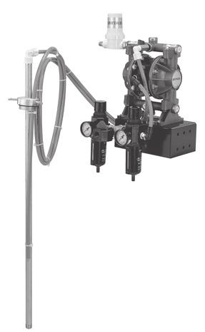 Flow 818220 Low Pulse Gemini Pump Packages 1/2", Low Pulse 100 PSI Package Bare pump Wetted Ratio & Gpm @ Mounting AiR Suction hose Agitator Prime