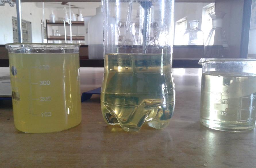 Fig-2: Biodiesel, Pure diesel and chicken oil The oil thus obtained is blended with the diesel in certain ratios.