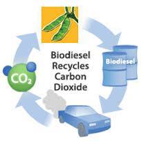 Emissions from biodiesel compared to conventional petroleum-derived diesel *.