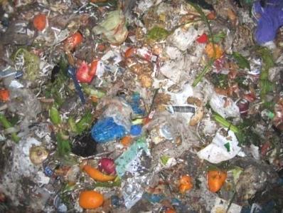 municipal solid waste (OFMSW), food industry waste, slaughter house