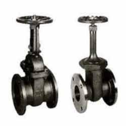 Industrial Valves: We are offering