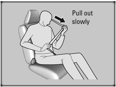 Seat Belt Inspection Regularly check the condition of your seat belts as follows: Pull each belt out fully and look for frays, cuts, burns, and wear.