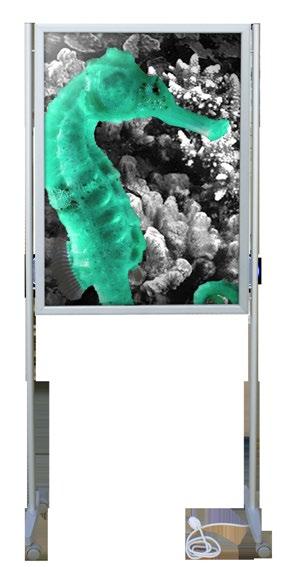 Light Box Frame Light Wall Totem click Sintra silver anodized aluminium EN FR PT ES Available with and without
