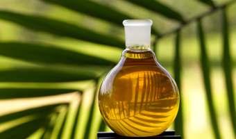 Introduction Motivation Both conventional petroleum industry and bio-fuel industry (Palm Oil) is a multi-million dollar