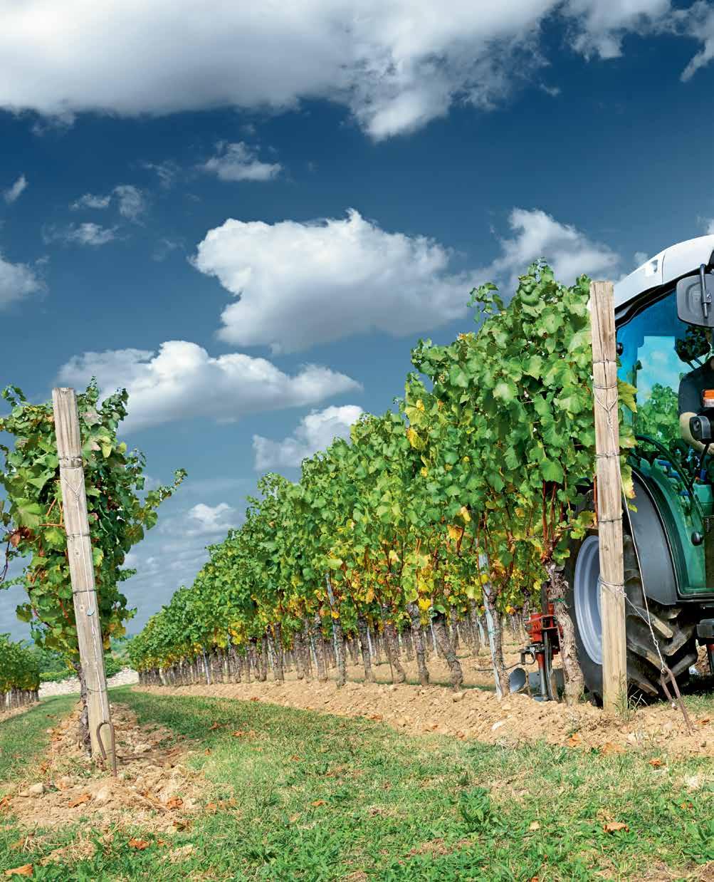 04-05 AXLES AND BRAKES MECHANISATION IN VINEYARDS CONTINUES TO SPEED UP. SAVE COSTS? BECOME LESS DEPENDENT ON EXTERNAL WORKERS?