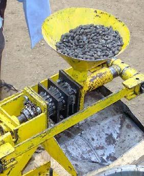 Mechanical Extraction The basic process: Seed Preparation Removal of foreign objects Removal