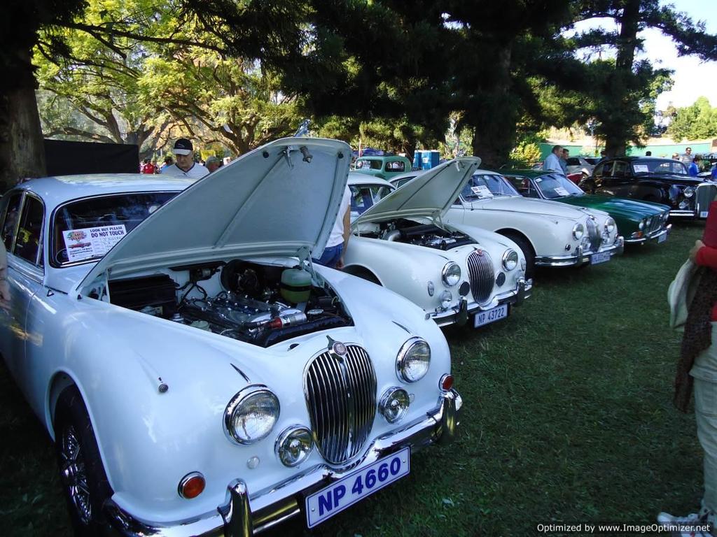 A line up of MK 1 and Mk 2s.