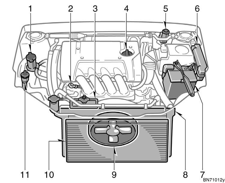 1.8 L 4 cylinder (2ZZ GE) engine 1. Power steering fluid reservoir 2. Engine oil level dipstick 3. Engine coolant reservoir 4.