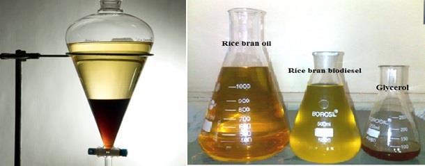 2 shows the experimental setup of transesterification process Measure 5 ml of oil with the help of suitable measuring flask and transfer it to large Mason jar.as shown in Fig 2.