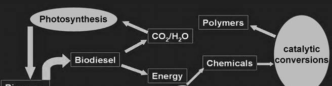 The chemistry of