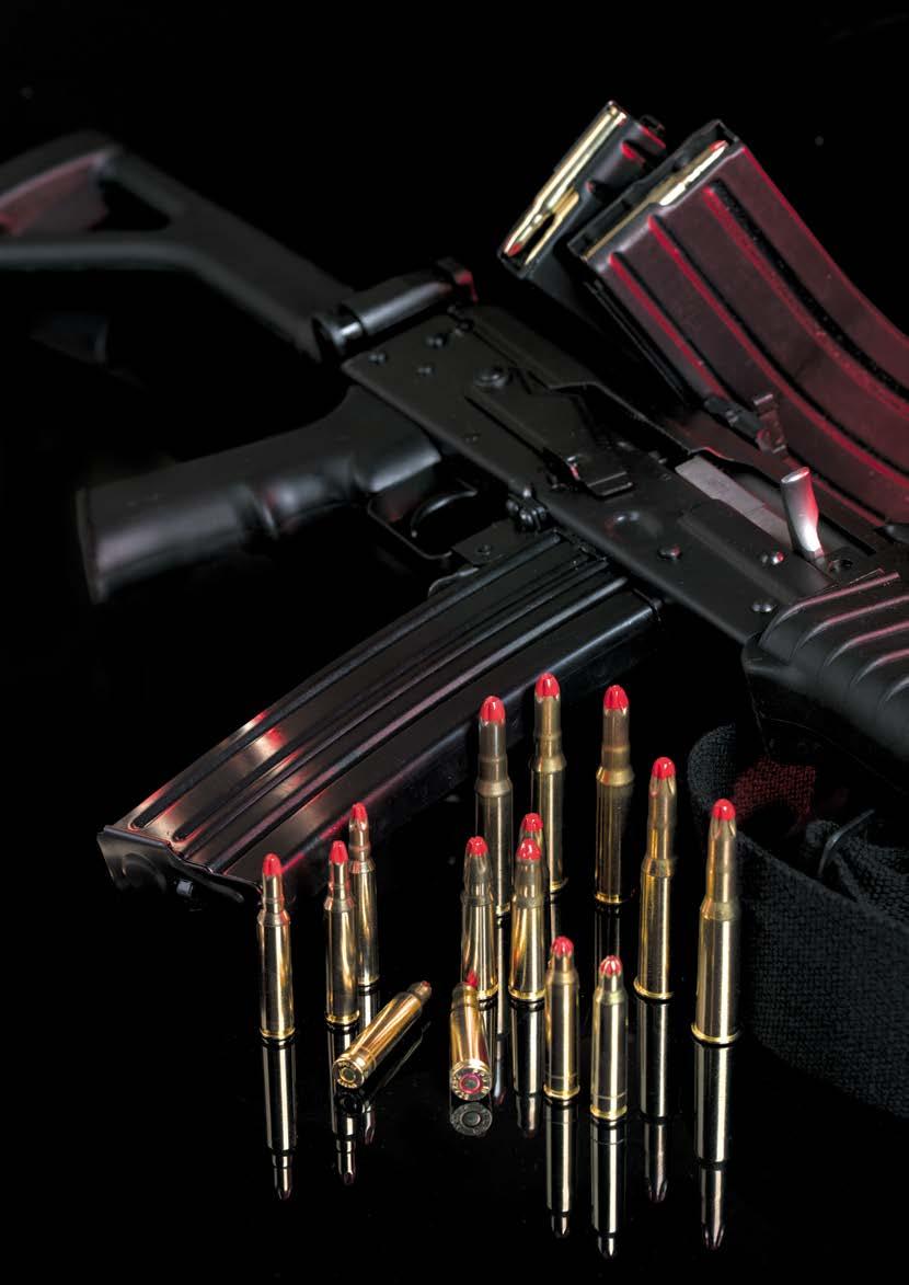 CALIBER RIFLE, LIGHT MACHINE GUN AND MACHINE GUN AMMUNITION BLANK M200 Rifle cartridge without bullet BLANK M200A1 (Long) Rifle cartridge without bullet (223 Remington) MATCH (223 Remington) MATCH