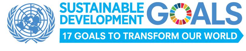 Our goal is to report how Vietnam is achieving SDG 7 Ensure