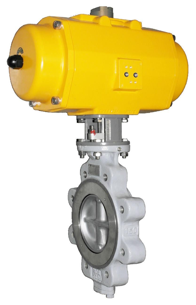 OPTIONS: Solenoid valves, limit switches, manual override, pneumatic or electro-pneumatic positioner.