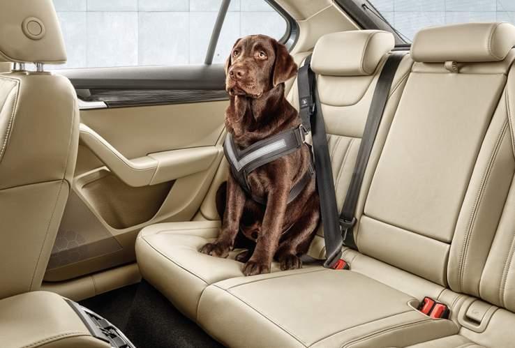 071 608) Dog safety belt Size S (000 019 409A) Size M (000