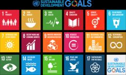 facilitating global economy while SDG