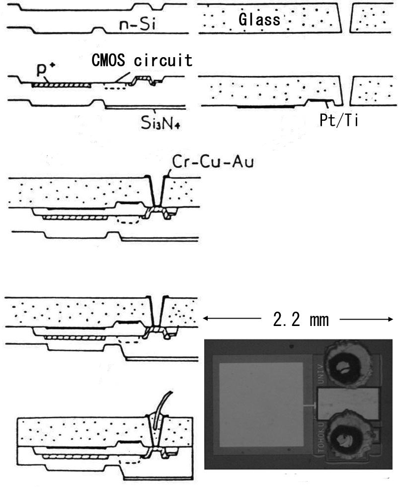 Capacitance detection circuit (JTEKT