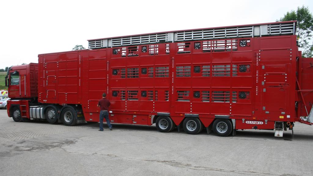 TYPICAL TRUCK USED IN THE EU FOR TRANSPORTING PIGS, SHEEP OR CATTLE.