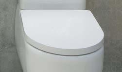 00 NEW DEAN TOILET SEAT - soft close toilet