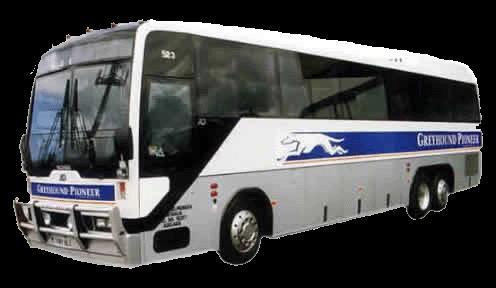 Greyhound Best known for travelling interstate or
