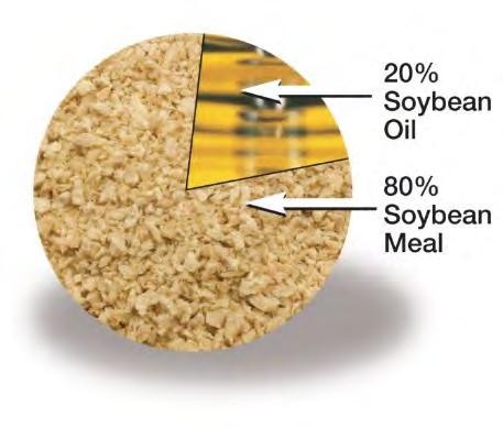 THE ORIGINAL MISSION Soybeans are grown for protein meal. Soybeans are 80% protein meal and 20% oil.