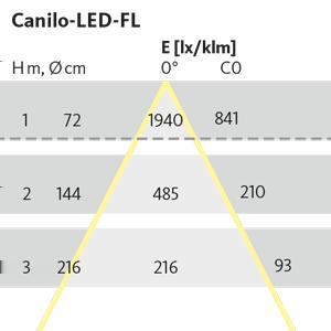 Optic - Optic CANILO - Version
