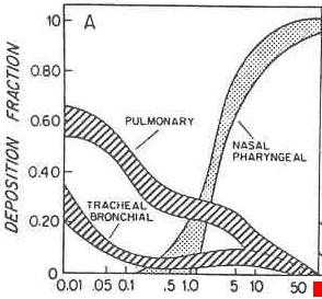 Measured Size Distribution (Jet A) GNMD, nm: Idle: 17 Takeoff: 31 Cruise: 31 High Deposition in Pulmonary Region Adapted