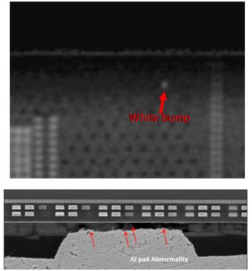 Figure 4: White bump scanning picture and bump crosssection after 20X reflow Table 3: No white bump after QTC 50X Die thickness Bump diameter Substrate SRO 500um 60um small White bump results @ QTC (