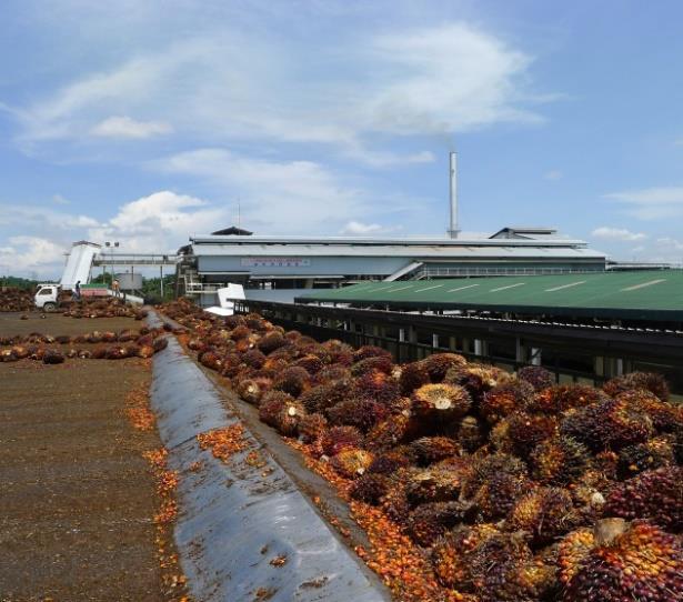 Prospect Palm Oil Engineering RM 000 500,000 450,000 400,000 350,000 300,000 250,000 200,000 150,000