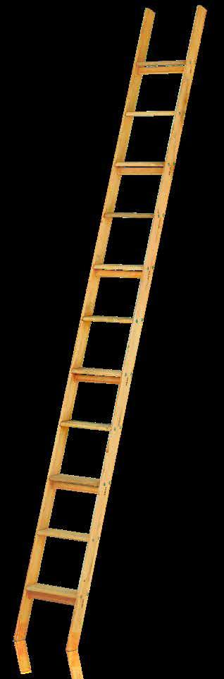 ladder width of 39 cm Ladder Length Weight 31-006 1,90 m 4,0 kg 31-008 2,50 m 6,0 kg 31-009 2,80 m 6,5 kg 31-011 3,40 m 8,0 kg 31-013 * 4,00 m 9,5 kg * Only available by order Type 36 Timber Leaning